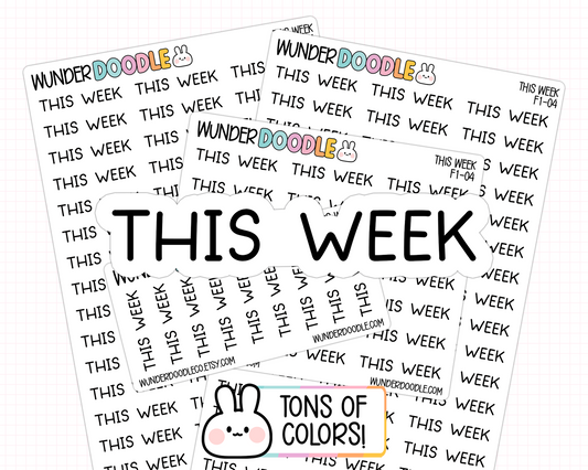 This Week Planner Stickers | F1-04