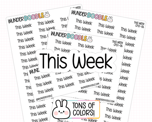 This Week Planner Stickers | CF01-06