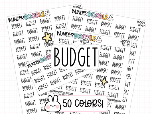 budget planner stickers, budgeting stickers, money stickers, budget stickers, finance stickers, functional planner stickers