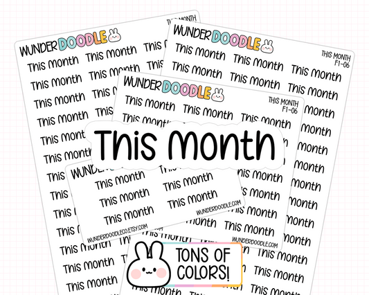 This Month Planner Stickers | F1-06
