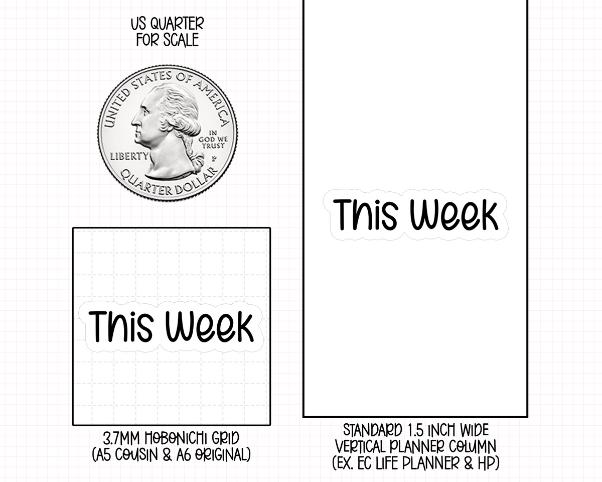 This Week Planner Stickers | F1-04